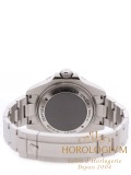 Rolex Sea-Dweller Deepsea 44MM watch, silver (case) and black (bezel)