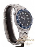 Omega Seamaster Co-Axial Diver 300M 41MM watch, silver (case) and blue (bezel)
